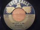 THE PERSIANS LOVE ME TONIGHT 45 GEE WHAT A GIRL GOLD EAGLE 1813