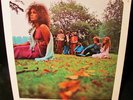 RARE 1969 ORIG The SAVAGE ROSE   IN THE PLAIN  WILD COMPLEX PROG PSYCH  FEM VOCS