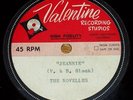 RARE Novells psych fuzz garage Valentine demo acetate 45 Jeannie/Pink Lady HEAR