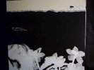 HOPE SANDOVAL - bavarian fruit bread -   LP  mint-