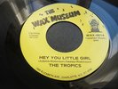 THE  TROPICS - HEY YOU LITTLE GIRL - WAX  MUSEUM