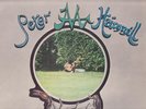 VAN DER GRAAF GENERATOR PETER HAMMILL CHAMELEON SHADOW 1973 ORIG LP RECORD