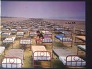 Pink Floyd - A Momentary Lapse of Reason (G/F LP) MINT