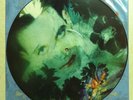The Cure - Disintegration Picture Disc LP - Fiction Records (fixhp14) EX COND
