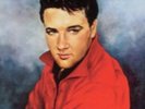 Elvis 