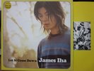 James Iha / LP / Let It Come Down / ex- Smashing Pumpkins Sean Lennon Ivy