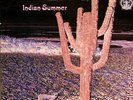 INDIAN SUMMER SELF-TITLED RCA NEON NE 3 ORIGINAL 1ST PRESSING ZGBS 0491-3 GATEFO