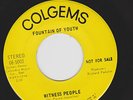 FOUNTAIN OF YOUTH Witness People 1969 AMAZING TRIPPY GARAGE PSYCH 45 LISTEN