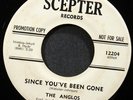 THE ANGLOS Since You've Been Gone / Small Town Boy ORIGINAL SCEPTER PROMO LISTEN