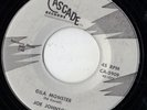 CASCADE wild black rocker 45  JOE JOHNSON - Gila Monster