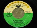 FUNK 45 -  JAMES FOUNTAIN - MY HAIR IS NAPPY - PEACHTREE 124