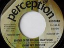 rare Soul Funk 45 JOHNNY PATE brother on the run Hear
