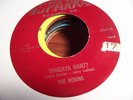 THE ROBINS  - IF TEARDROPS WERE KISSES // WHADAYA WANT ? - GREAT DOOWOP