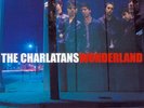Charlatans Wonderland Original 2001 2lp