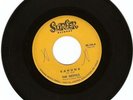 RARE SURF INSTRUMENTAL ROCKER- THE GESTICS- 