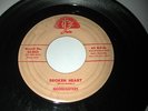Rockabilly MOONLIGHTERS Broken Heart / Glow Of Love JOSIE Records LISTEN