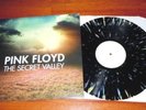 Pink Floyd - THE SECRET VALLEY, MULTICOLORED VINYL, LTD. RARE LP, 30 copies ONLY
