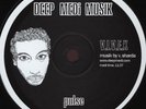 V.I.V.E.K - Pulse / Roots - Deep Medi Musik medi37 12