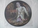 CANNIBAL CORPSE - 