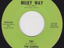 Melodic Mersey Style Garage Punk 45 - COBRAS - Try / Good Bye