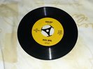 Pete Duel - Alias Smith & Jones - Ecology / Poetry  Excellent con