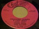 rare Blues Chief 45 