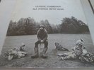 George Harrision lp All things must pass triple  Beatles