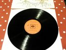 The Trees 1970 UK stereo LP 'The Garden of Jane Delawney'