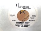 THE WATTS 103RD ST. RHYTHM BAND US NORTHERN SOUL PROMO  45  WAREHOUSE FIND  M-