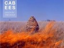 THE MACCABEES GIVEN TO THE WILD 2 X LP UK ORIGINAL MINT