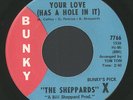 SHEPPARDS: Your Love (has A Hole In It) / I'm Not Wanted 45 Soul