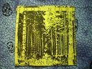 IAN ELMS GOODNIGHT V. RARE UK PRIVATE PRESS DARKWAVE/SYNTH SMT013 GREAT COPY