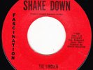 RARE GARAGE SURF BLUES INSTRUMENTAL THE LINCOLN TRIO...LISTEN