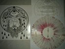 Brutality will prevail forgotten soul lp more than life dead swans sxe