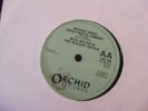NICK SATAN&ROCKIN DEVILS 45  MIDDLE AGED TEDDYBOYS LAMENT