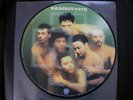 RAMMSTEIN MUTTER   RARE PICTURE VINYL  Near Mint