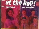 At The Hop With....Cathy Jean...the Roommates