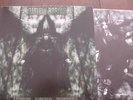 Dimmu Borgir-Enthrone Darkness Triumphant Org.LP