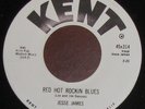 Rare Rockabilly JESSE JAMES - Red Hot Rockin' Blues KENT   Listen