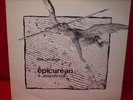THE ORCHIDS EPICUREAN A SOUNDTRACK SARAH RECORDS RARE 2LP