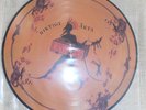 Landberk - Riktigt Äkta - Picture LP - Vinyl - MINT (SEHR RAR)