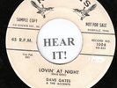 ROCKABILLY 45 Dave Gates & The Accents-Robbins DJ #1008-Lovin' at Night/Jo-Baby