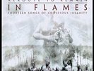 IN FLAMES - Reroute To Remain [Ltd.LP] (LP)