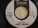 Garage band 45, Terry Randall on Valiant Records, promo 