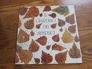 IL GIARDINO DEI SEMPLICI  Italian prog Korean reissue LP