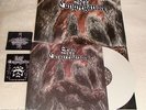 DEAD CONGREGATION - GRAVES OF THE ARCHANGEL 12