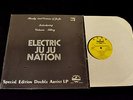 RARE MODERN SOUL BOOGIE Virtania Tillery Electric Ju Ju nation NAME LP