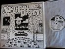 STONE MINT 1971 UK ORIG   Bill Nelson NORTHERN DREAM Astral Navigations UK PSYCH