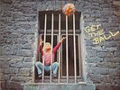 Krautrock/Funk/Fusion RELEASE MUSIC ORCHESTRA 