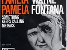 WAYNE FONTANA - Pamela Pamela  '66 HOLLAND 7